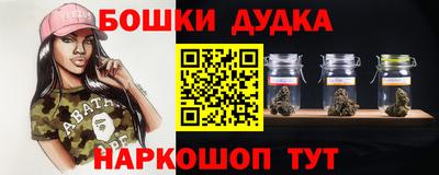 эйфоретик Гай